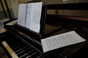 Музыкальный концерт состоится в Троицком Центре культуры и творчества. Фото: Анна Быкова, «Вечерняя Москва»