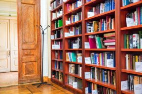 Научно-познавательная программа пройдет в библиотеке №260. Фото: Ксения Догонашева, «Вечерняя Москва»