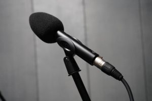 Концерт Милославы Никифоровой пройдет в Троицком Доме ученых. Фото: Анна Быкова, «Вечерняя Москва»