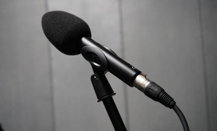 Концерт Милославы Никифоровой пройдет в Троицком Доме ученых. Фото: Анна Быкова, «Вечерняя Москва»