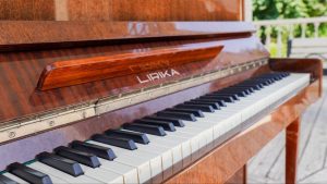 Концерт фортепианной музыки пройдет в Троицкой детской школе искусств. Фото: Ксения Догонашева, «Вечерняя Москва»